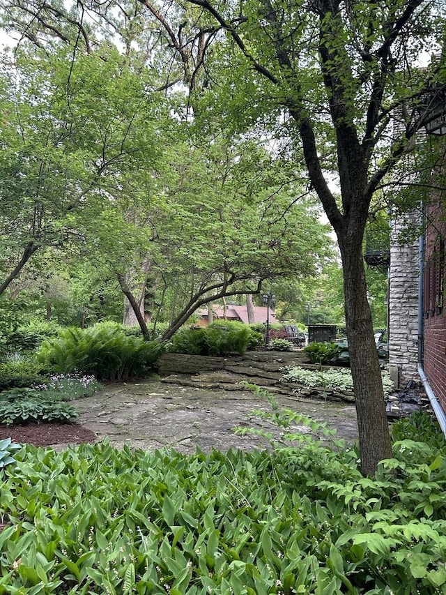 2221 Twin Oak Rd, Peru, IL 61354 - view of yard