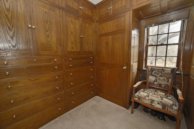 2221 Twin Oak Rd, Peru, IL 61354 - sitting room featuring carpet and wood walls