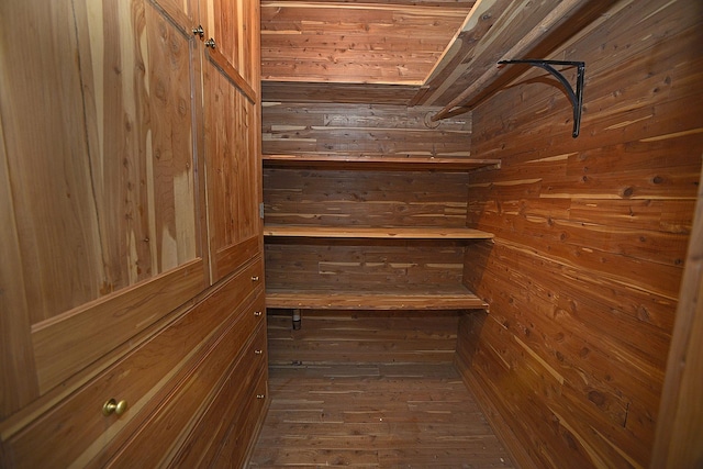 view of walk in closet
