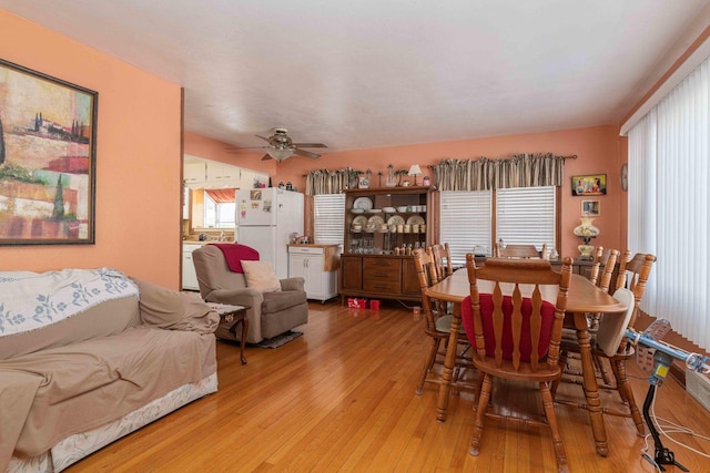 dining area featuring ceiling fan and light wood-type flooring