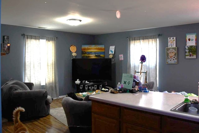 interior space with hardwood / wood-style flooring and a wealth of natural light