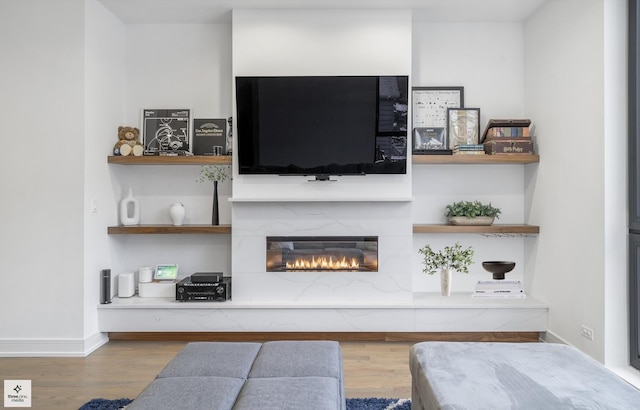 living room with hardwood / wood-style flooring and a premium fireplace