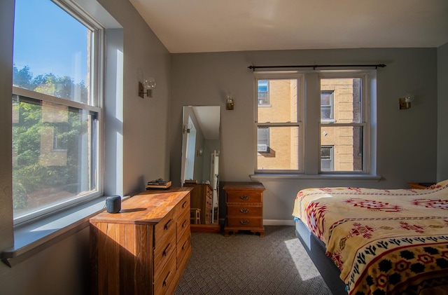 bedroom featuring dark carpet and multiple windows