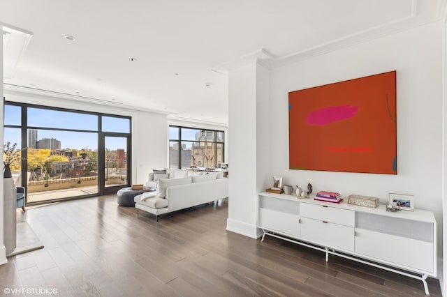 living room with ornamental molding, a view of city, and wood finished floors