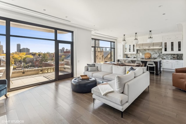 living room featuring a view of city and dark wood-style flooring