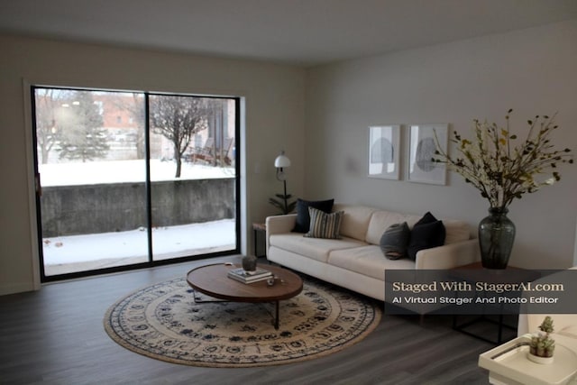 living room with hardwood / wood-style flooring