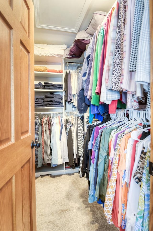 spacious closet with carpet