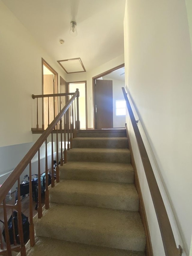 staircase with carpet floors