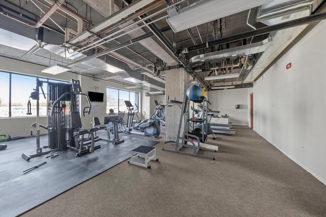 exercise room featuring a wealth of natural light