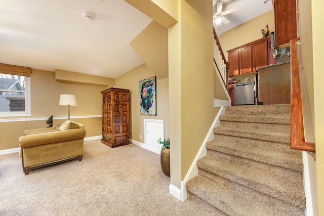 stairway with ceiling fan and carpet floors