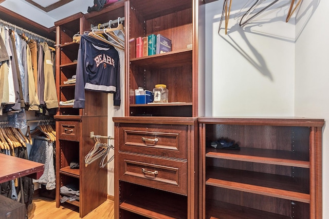 walk in closet featuring light hardwood / wood-style floors