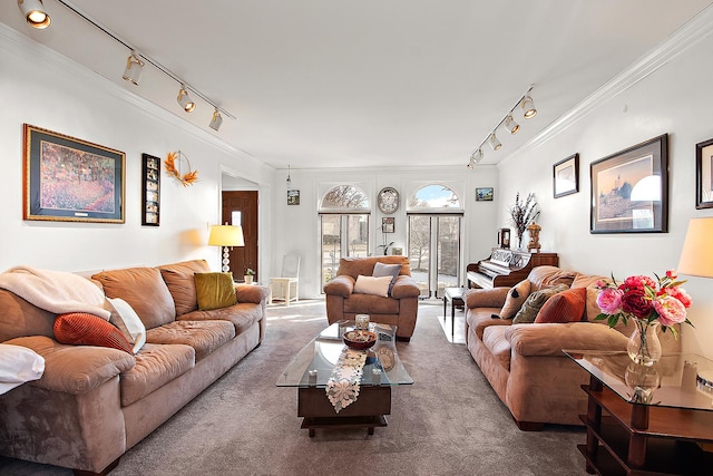 carpeted living room with rail lighting and ornamental molding