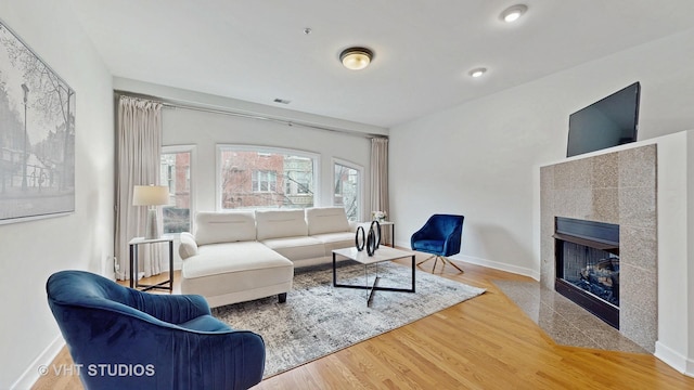 living room featuring wood-type flooring and a fireplace