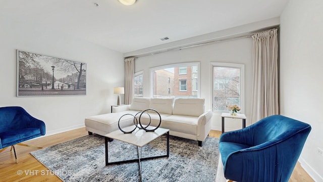 living room with wood-type flooring