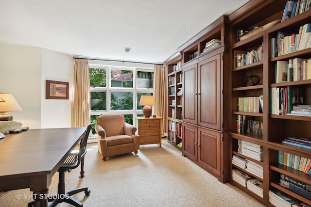 view of carpeted home office