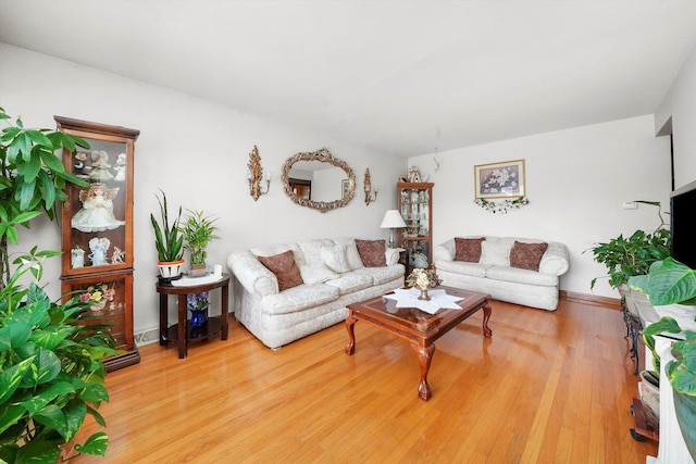 living room featuring hardwood / wood-style flooring