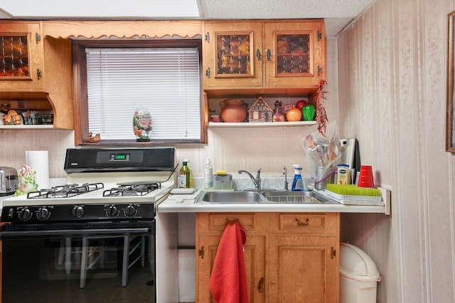 kitchen featuring sink and gas stove