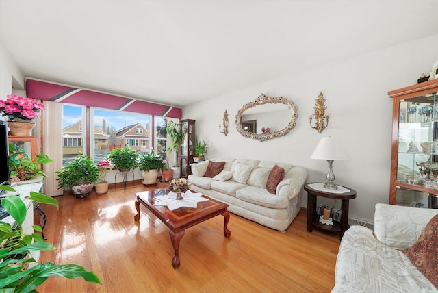 living room featuring wood-type flooring