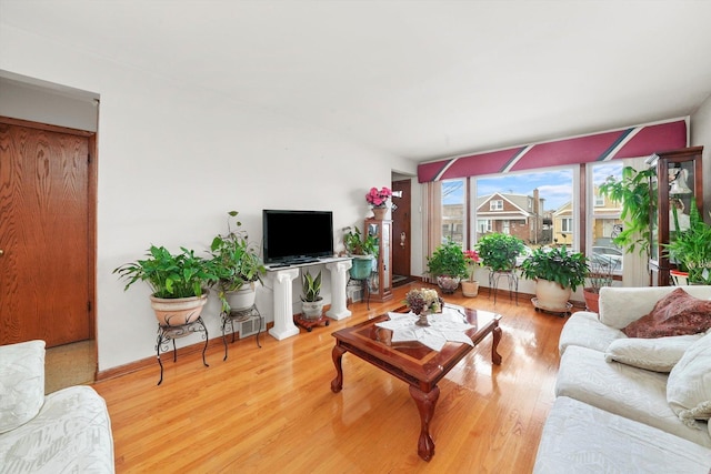 living room with wood-type flooring