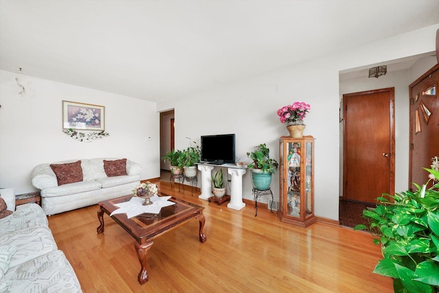 living room with wood-type flooring