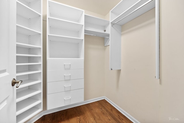 walk in closet with wood-type flooring