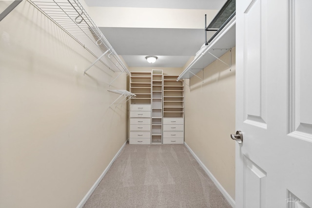 walk in closet with carpet