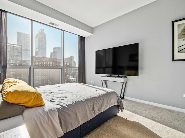 bedroom with carpet floors