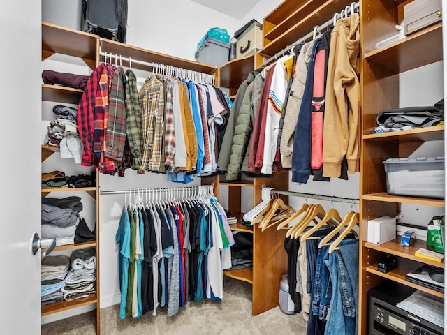 spacious closet with carpet flooring