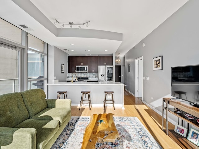 living room featuring light hardwood / wood-style flooring, sink, and track lighting