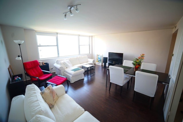 living room with dark hardwood / wood-style flooring and rail lighting