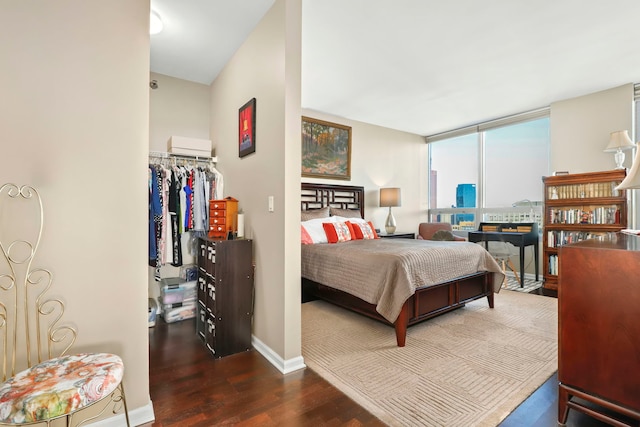 bedroom featuring a closet, a walk in closet, dark hardwood / wood-style floors, and a wall of windows