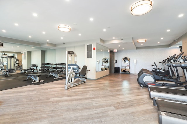 exercise room featuring light hardwood / wood-style floors