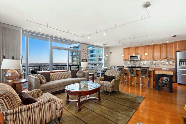 living room with wood-type flooring and floor to ceiling windows