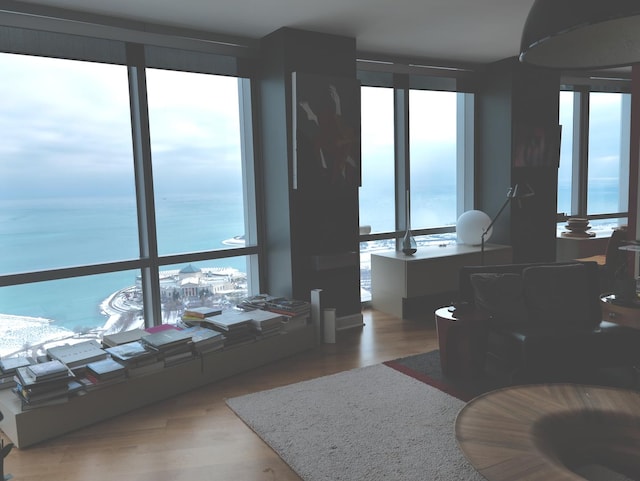 living room featuring a water view, a wall of windows, a healthy amount of sunlight, and hardwood / wood-style floors