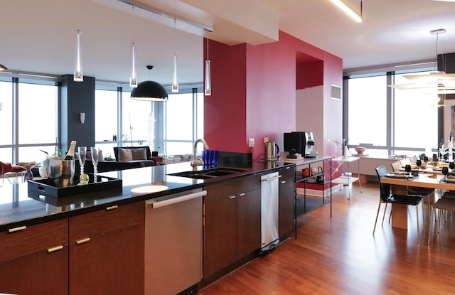 kitchen with stainless steel dishwasher, sink, light hardwood / wood-style flooring, and a wealth of natural light