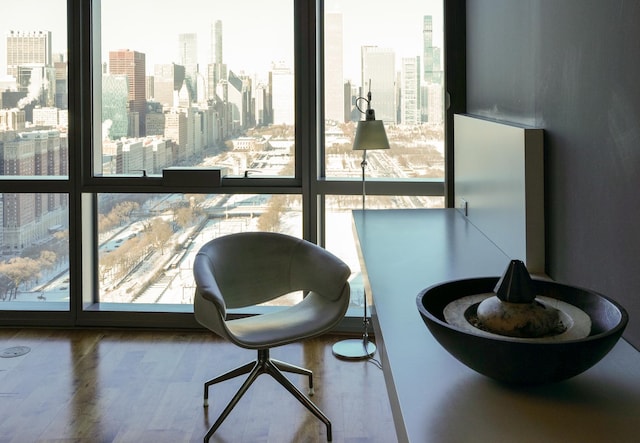 interior space with hardwood / wood-style floors and a wall of windows