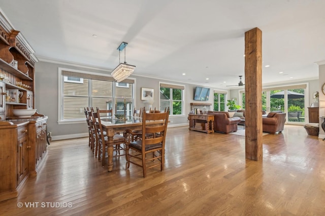 dining area featuring crown molding, ceiling fan, and light hardwood / wood-style floors