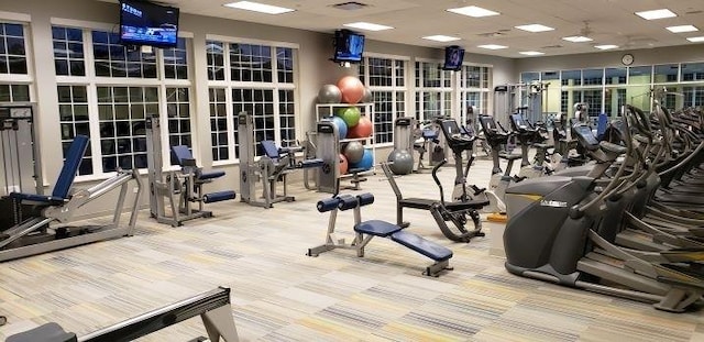 workout area featuring carpet