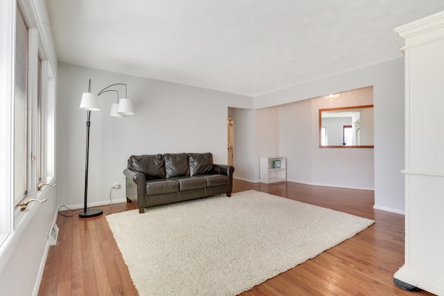 living room featuring wood-type flooring