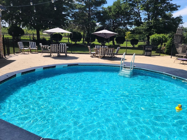 view of swimming pool featuring a patio