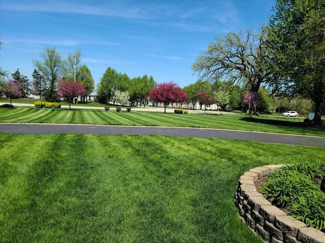 view of community featuring a lawn