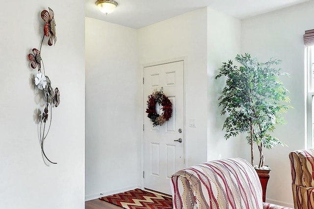 entryway with wood-type flooring