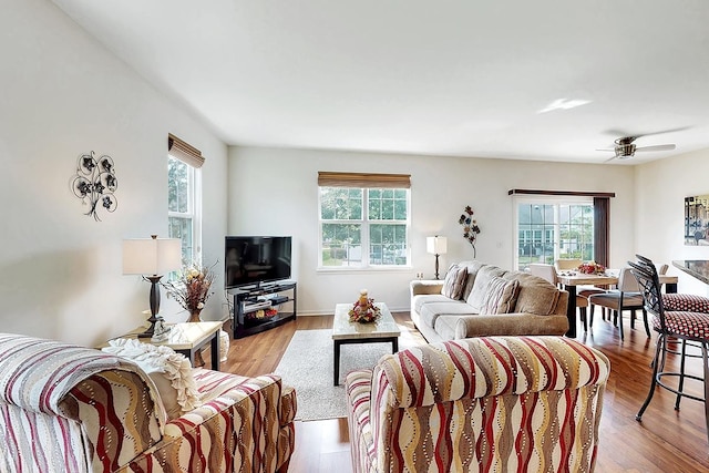 living room featuring ceiling fan and light hardwood / wood-style floors