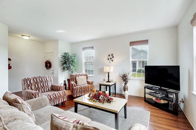 living room with wood-type flooring