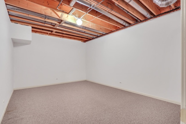 basement featuring carpet floors