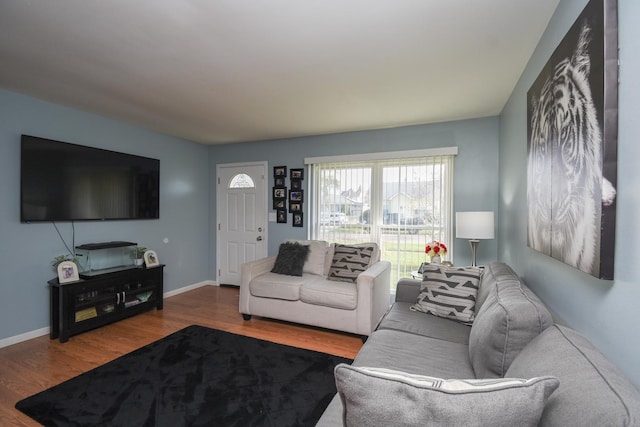 living room with hardwood / wood-style floors