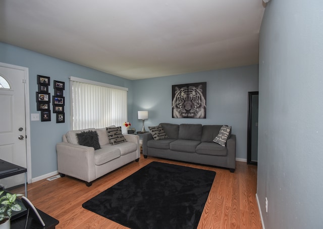 living room with hardwood / wood-style flooring