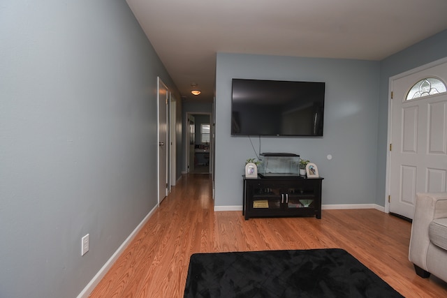 living room with light hardwood / wood-style floors