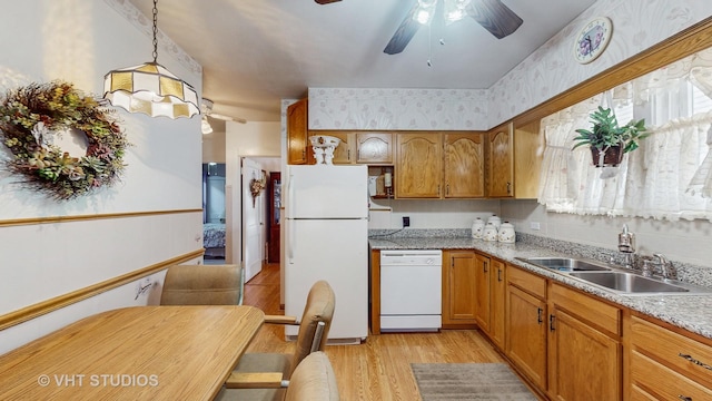 kitchen featuring sink, light hardwood / wood-style flooring, ceiling fan, pendant lighting, and white appliances