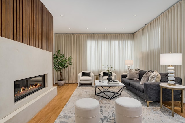 living room featuring light hardwood / wood-style floors